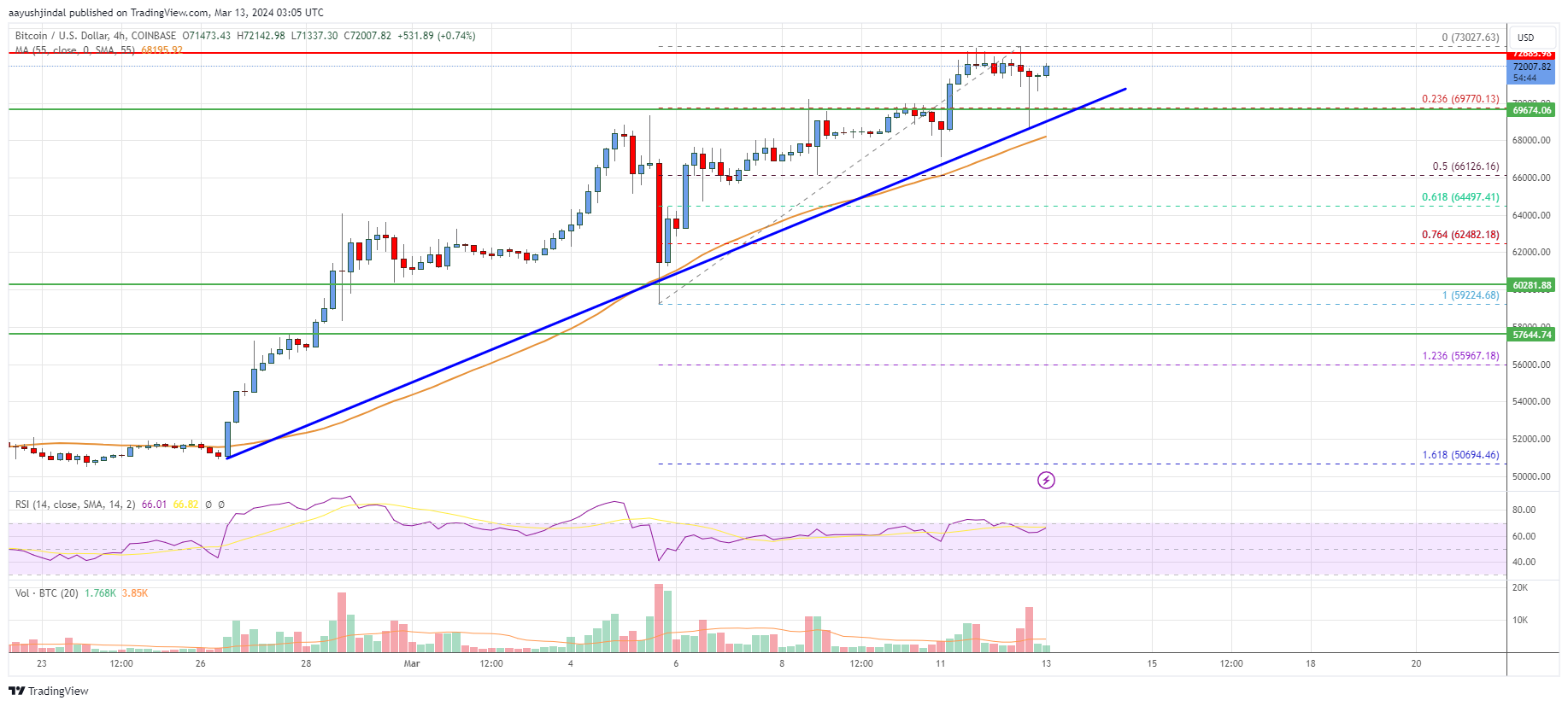 Bitcoin Price Analysis: BTC Bulls Aim For $80K