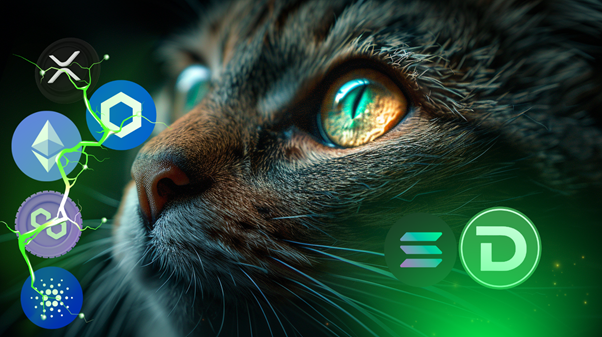 Dogecoin, Worldcoin, And DTX – These Are Hot Cryptocurrencies You Should Know About Right Now