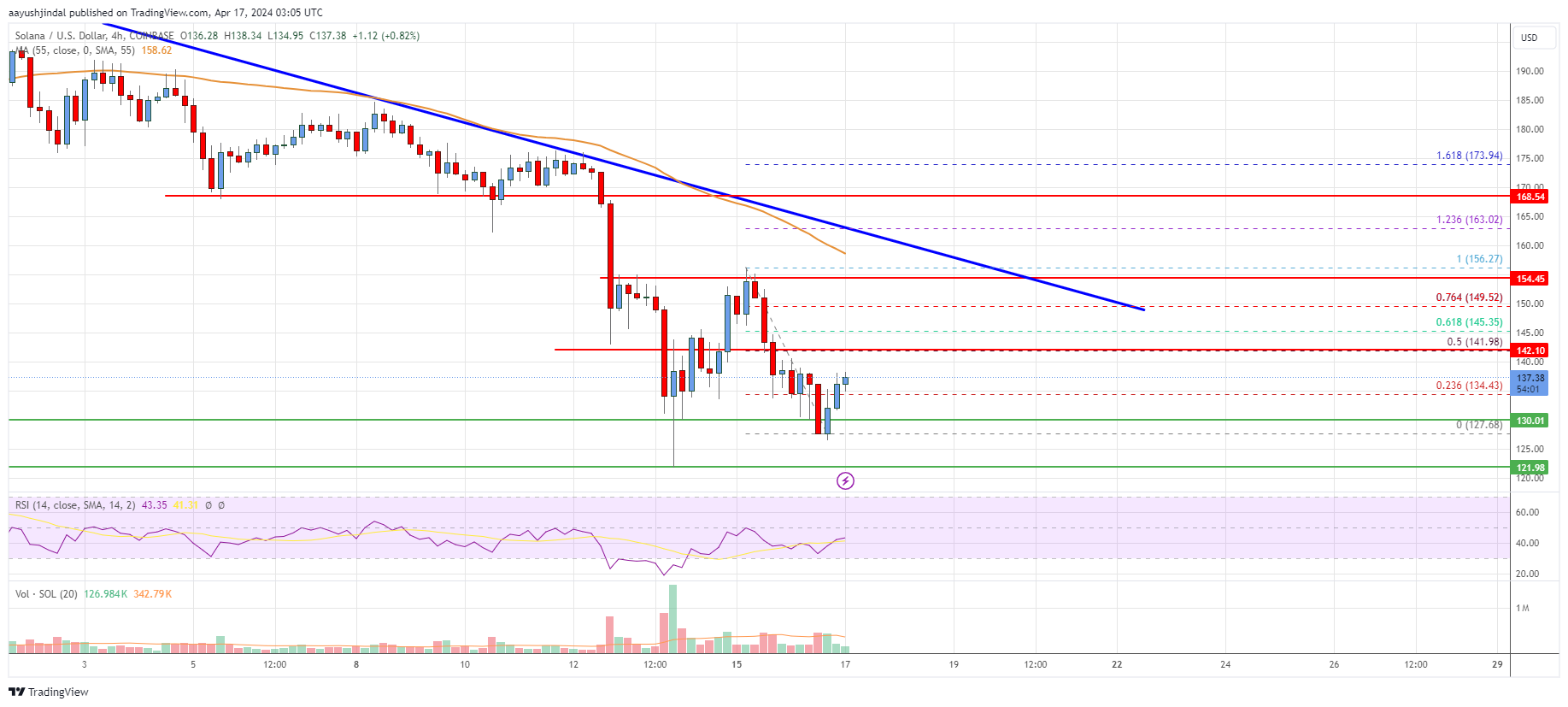 Solana (SOL) Price Analysis: Price Dips 50%, Can It Recover?