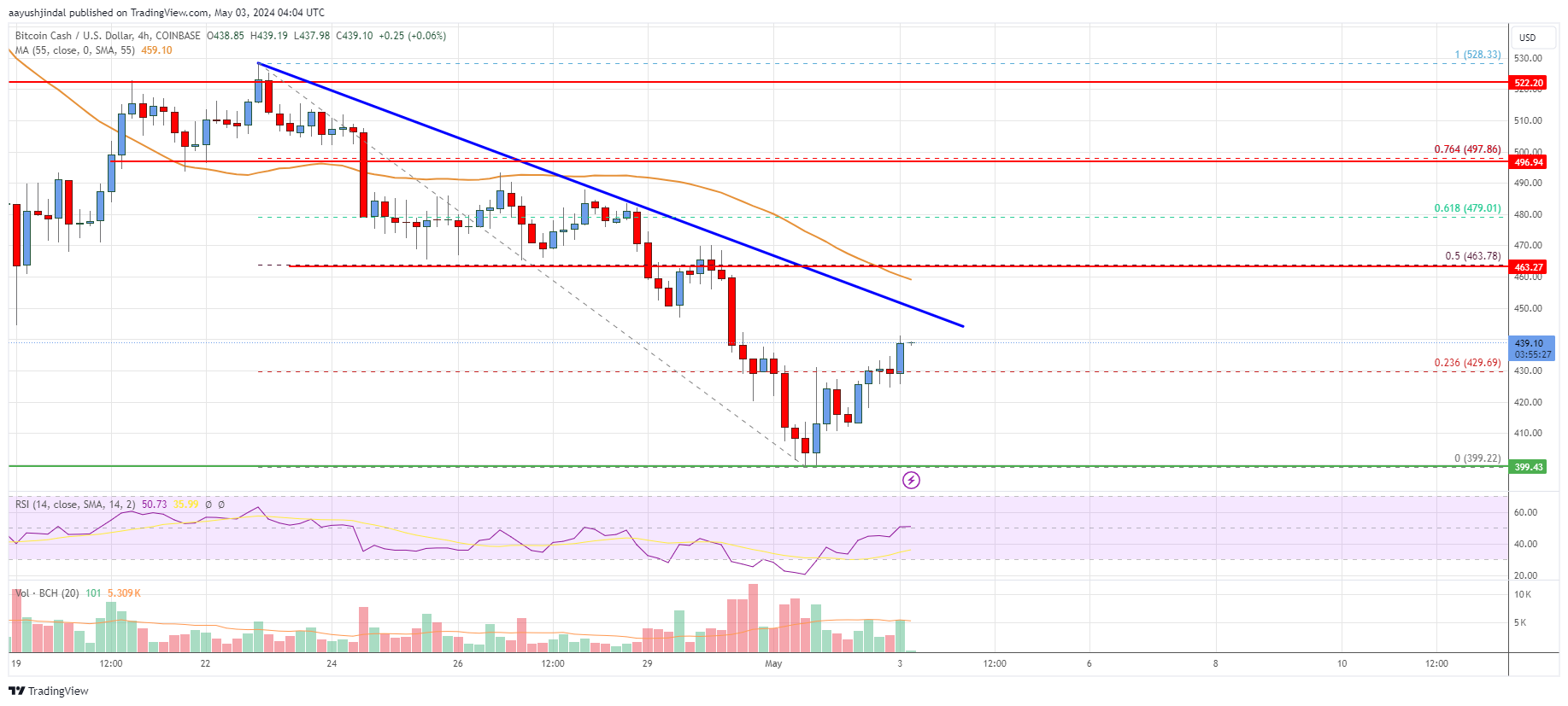 Bitcoin Cash Analysis: BCH Faces Uphill Task at $462