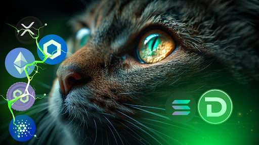 Chainlink Price Prediction After Tokenizing Funds, Expert Thinks LINK Might Hit $100 as DTX Exchange Soars