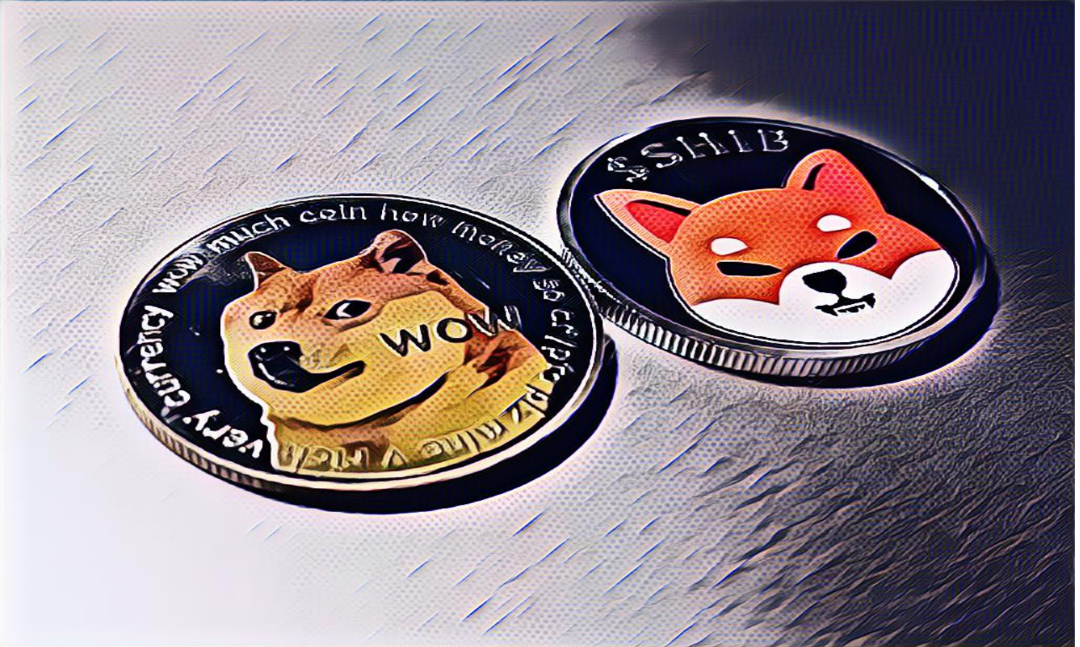 It’s Not Just Degens, Institutions Love Memecoins Too