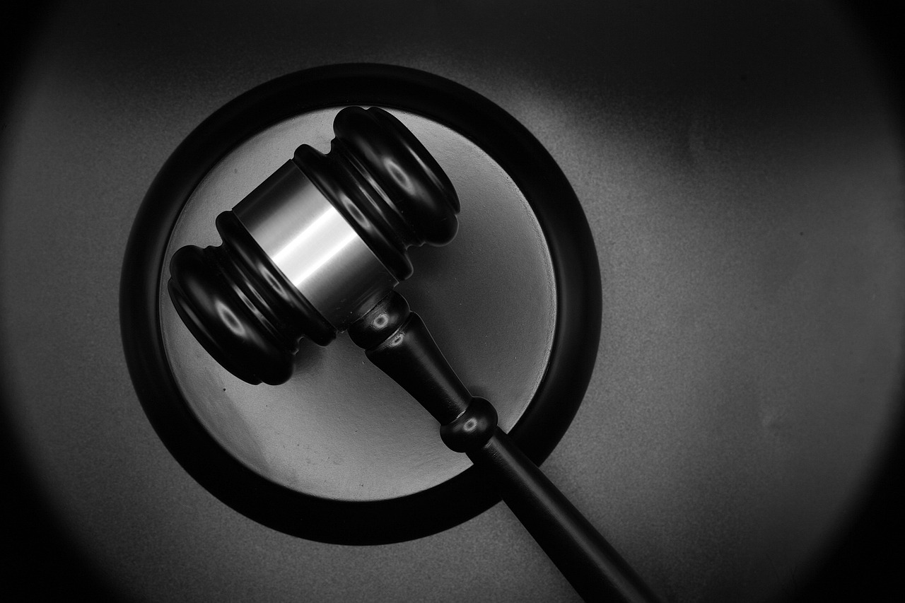 ‘Pharma Bro’ Martin Shkreli Sued by PleasrDAO