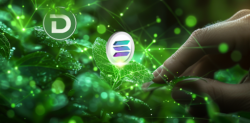 DTX Presale Set For 33x Rally As Investors Escape Bearish Scare On Solana (SOL) And Avalanche (AVAX)