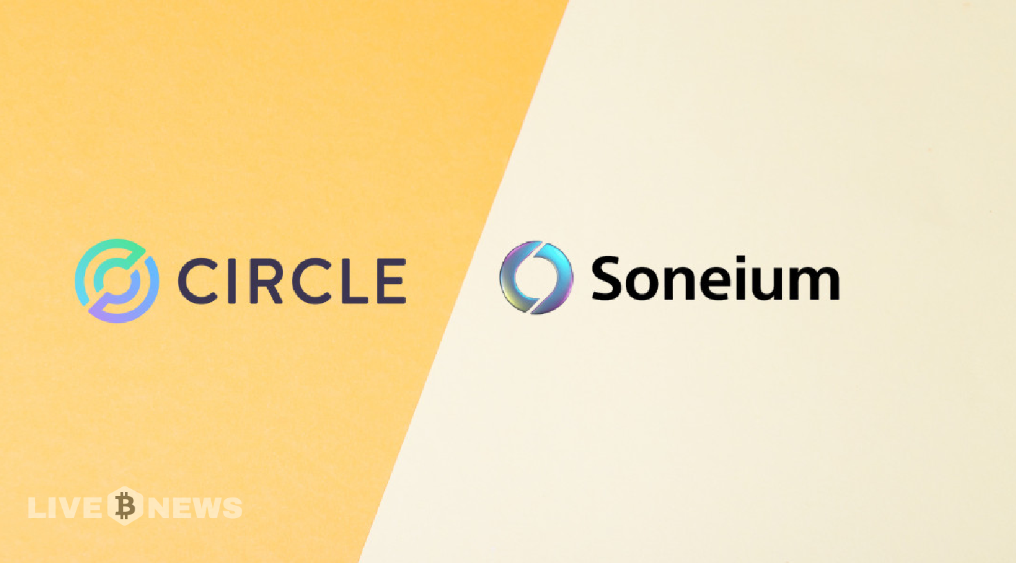 Circle and Sony Introduce USDC on Soneium Blockchain for Creators