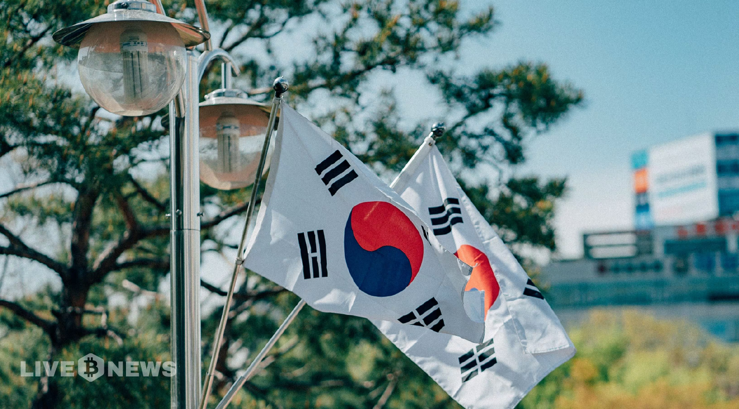 South Korea Flags ZK After 1,000% Upbit Price Explosion