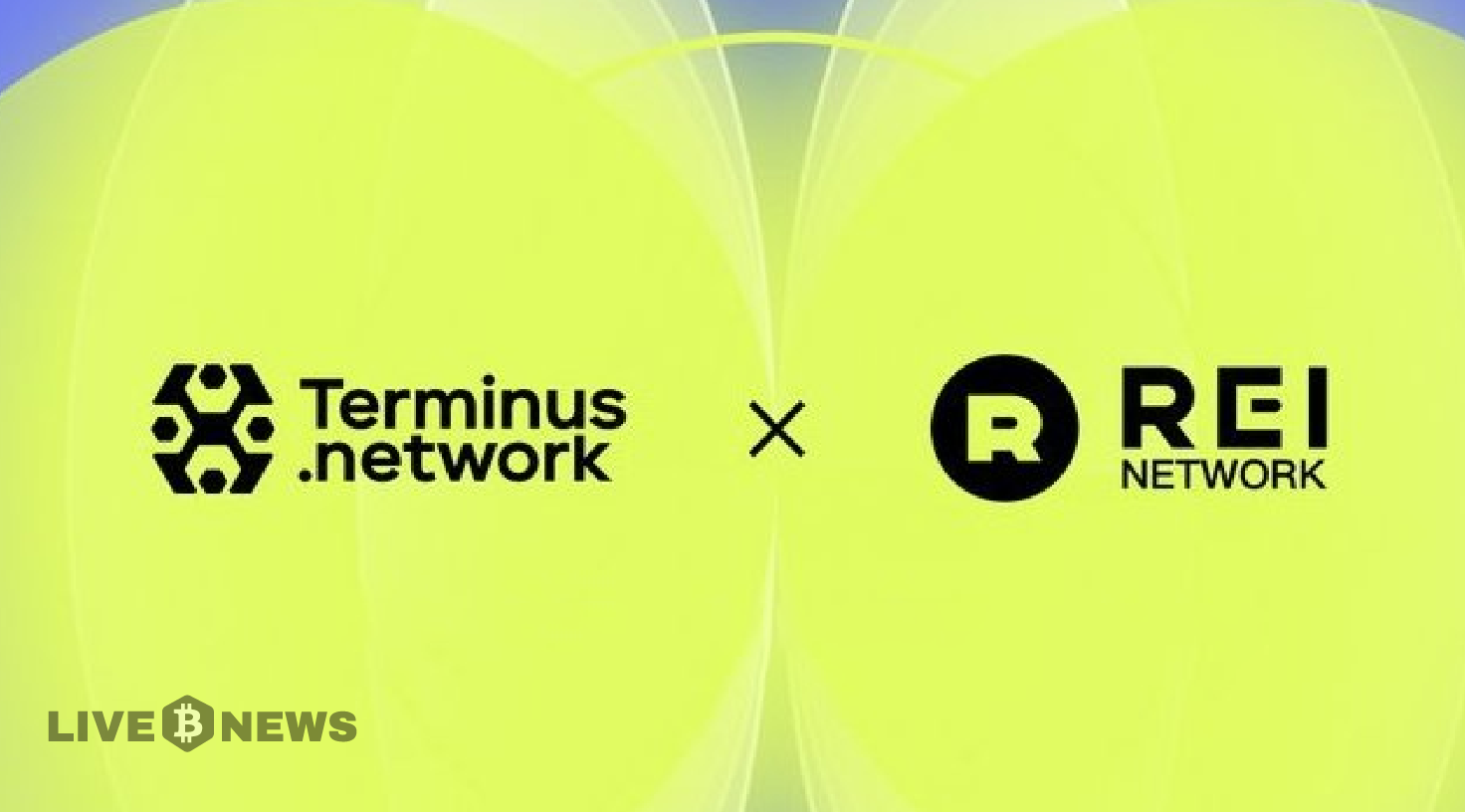 Terminus and Rei Network Collaborate for Enhanced Blockchain Efficiency