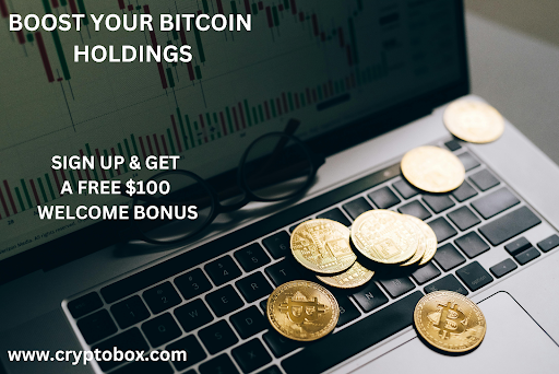 How CryptoBox Works for Beginners to Earn Confidently