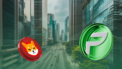Shiba Inu Millionaire Puts 65% of His Portfolio on the Line with PCHAIN Bet, RWA Altcoin to Rise 6,444% to $1