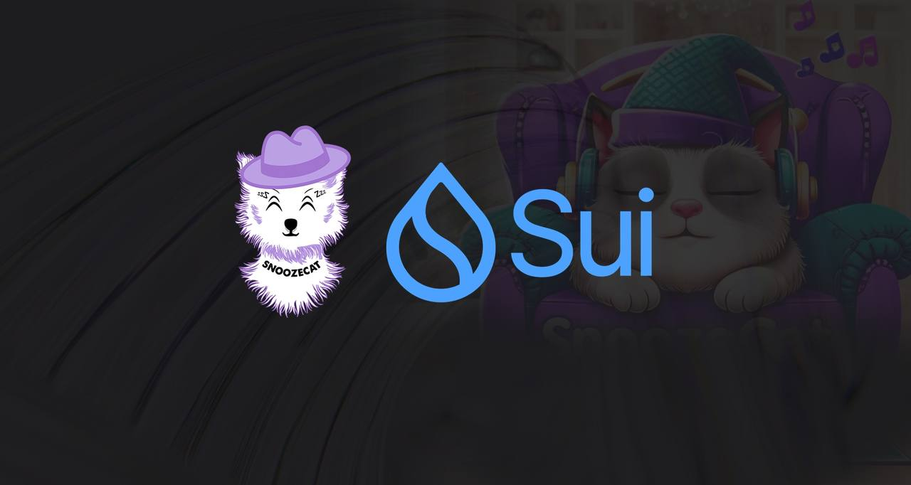 After HIPPO’s Binance Success, $ZZZZCAT Could Be the Next Big SUI Meme Coin – Join the Snoozecat Presale Now!