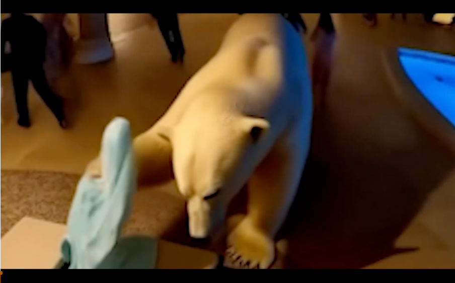 Breaking News: Polar Bear “Breaks In,” Steals Bathrobe?