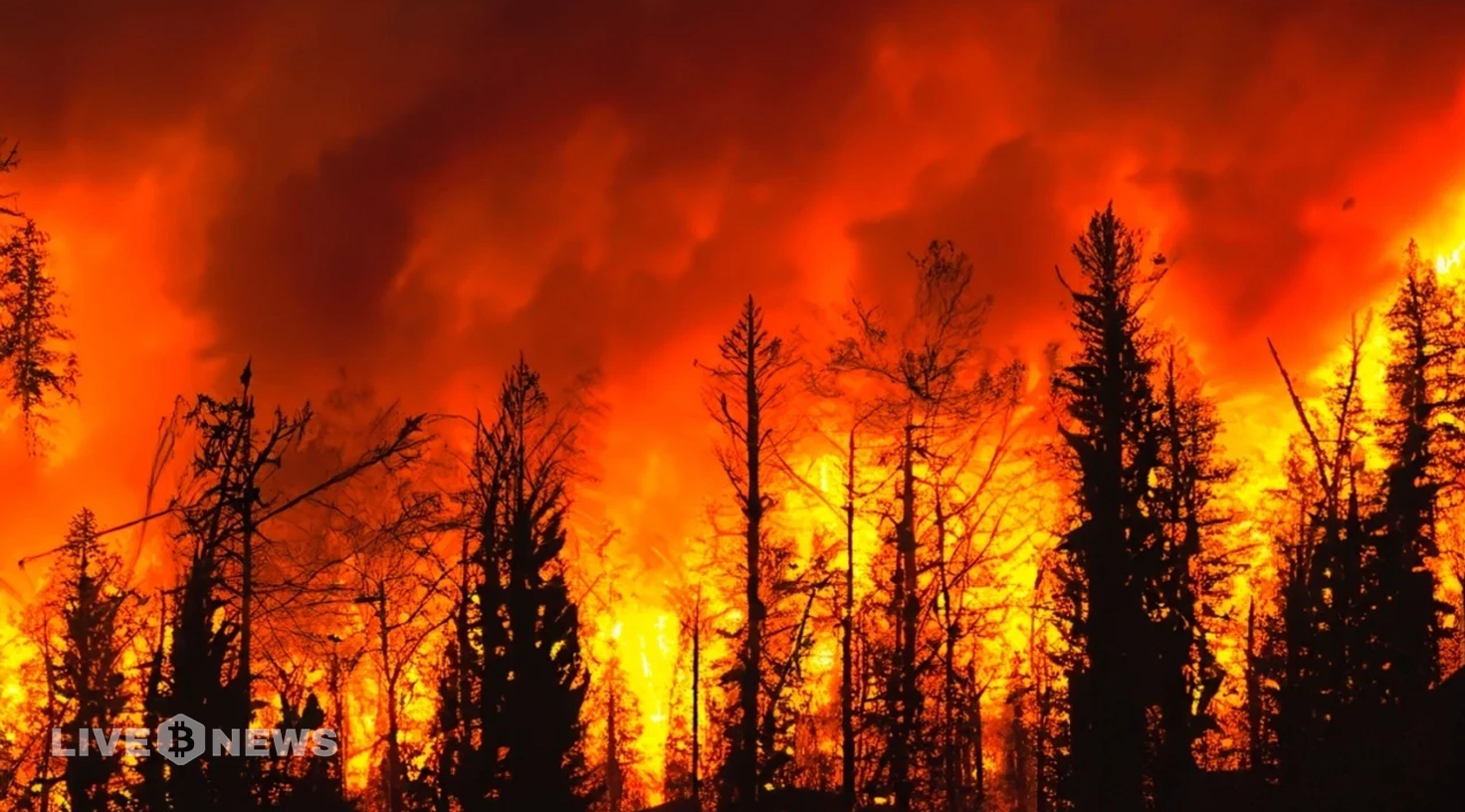 Ripple and Moonpay Donate $50K to Support Los Angeles Firefighters