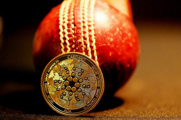 Unstaked Raises M Among Dogecoin Rally and Cardano Volatility