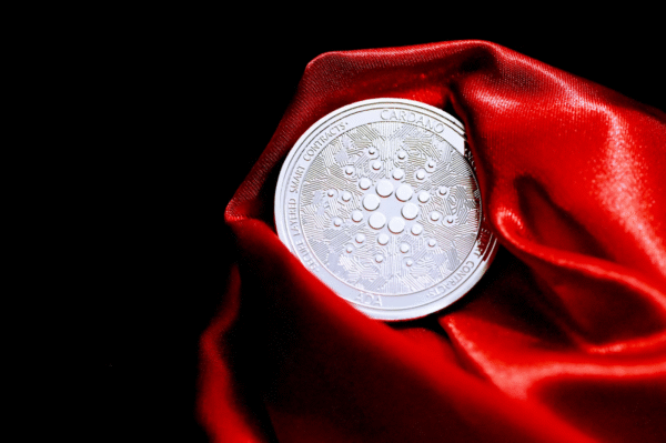 The Ultimate Guide to Top Crypto Gems to Buy Now