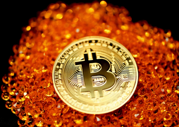 BONK & ARB Price Outlook, and Why UNSD Is the Breakout AI Crypto to Watch