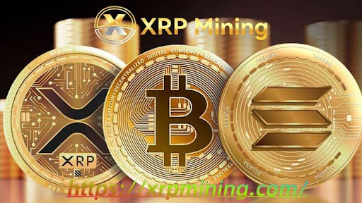 XRP Mining: The most trusted Bitcoin cloud mining platform in 2025, easily open the road to high-yield investment