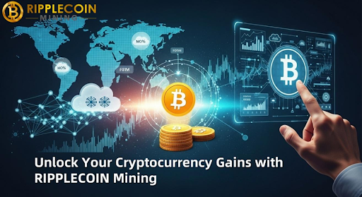 XRP News: XRP Rises As Bitcoin Soars, Holders Easily Earn $500-$15,000 a Day