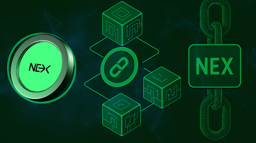 3 Best ROI Cryptos Right Now: Why Nexchain, TAO, & NEAR Are On Fire in 2025