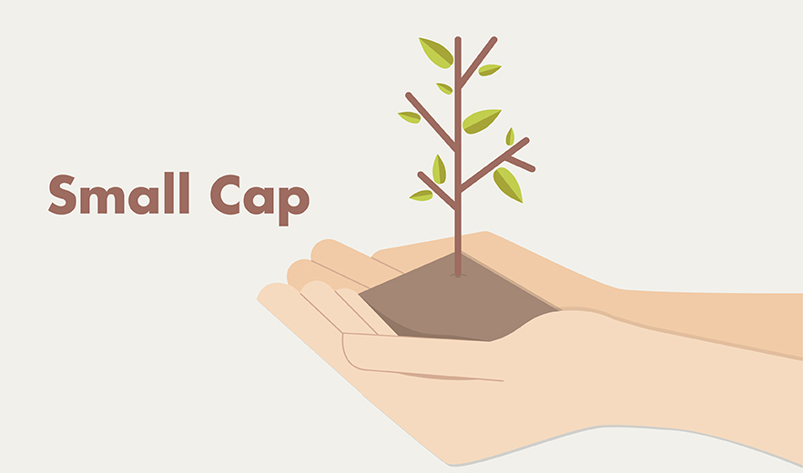 Can Small Cap Funds Still Meet Your Medium-Term Goals?