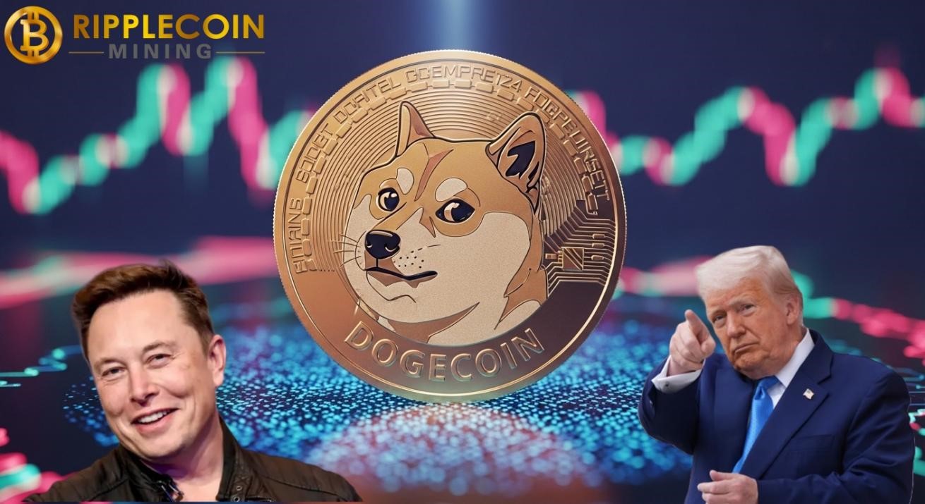 The best DOGE and BTC cloud mining platform in 2025, easily earn $16,777 a day