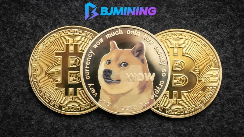 Turn Dogecoin (DOGE) and Ripple (XRP) into a $5,840 per day income stream with BJMining