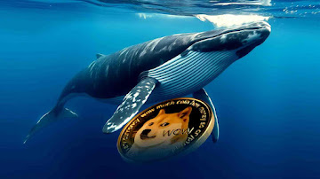 Whales earn $65,824 a day by mining Dogecoin with ETHRANSACTION