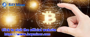 Coin holders earn ,777 from DOGE mining via BAY Miner