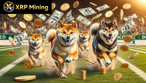 Dogecoin continues to fall, and holders reveal how to make $7,000 a day through cloud mining