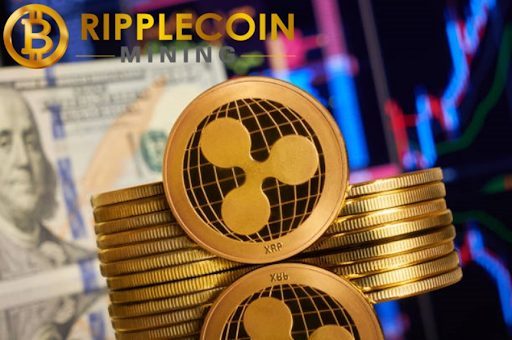 DOGE, XRP holders reveal secrets of making $27,570 in daily profits