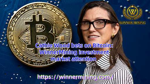Cathie Wood bets on Bitcoin: WinnerMining launches single contract with daily profit of $ 5,850