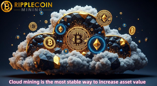 Use XRP, DOGE, and BTC to participate in Ripplecoin Mining cloud mining and easily earn $6,800 in passive income every day