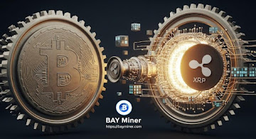 XRP, BTC Users Earn Up to $3,965 a Day with BAY Miner, as Global Downloads Surge