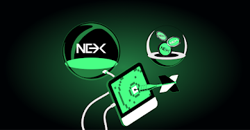 As Hyperliquid (HYPE) Targets $55, Investors Turn to Nexchain — The AI Layer-1Crypto Presale With 300% Potential