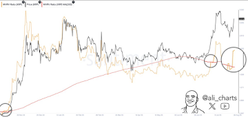 XRP Flashes Bullish MVRV Signal as Nexchain’s Crypto Presale Approaches Final Stage 24 Target