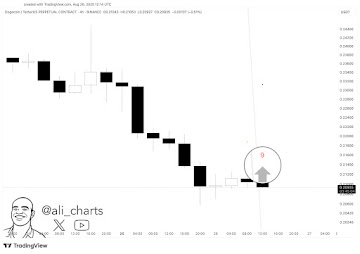 Experts Back Remittix Over DOGE In 2025/26 As Latest Dogecoin Price Predictions Flow