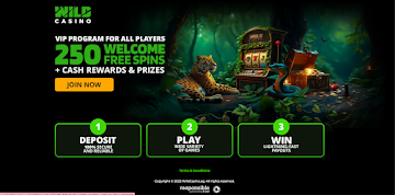 Best Crypto Casinos For US Players In 2025