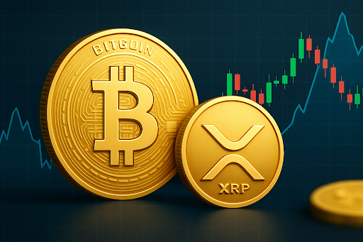 This Altcoin With Real 50x Potential Before the Next Bitcoin Halving Is Being Touted As The Best Crypto To Buy Now!