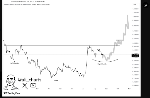 XLM Rally Momentum Weakens With Sharp Drop in Open Interest and Bearish Signals