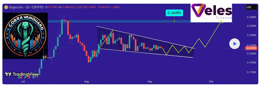 Best Crypto To Buy Now According To Crypto Charts Is Dogecoin, Worldcoin And Remittix In Mid
