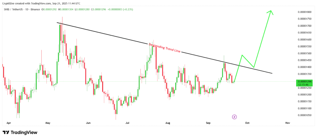 Shiba Inu News Today: Why SHIB Holders Are Tapping Into PayFi Altcoins Like Remittix In 2025