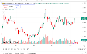 Dogecoin Price Predictions From Experts As Traders Favor Remittix For A 40x Breakout