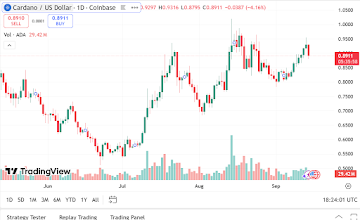 Dogecoin, Cardano & Remittix All Eye Up New Highs But Experts Favour $RTX To Surge Over 5,000%
