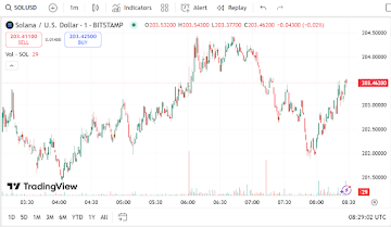Why Ethereum And Solana Users Are Eyeing Avalon X’s RWA Presale
