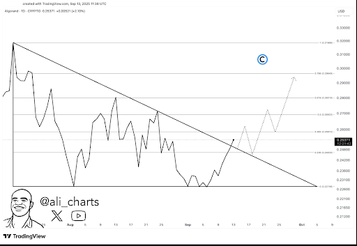 Algorand Shows Breakout Potential As Price Eyes alt=