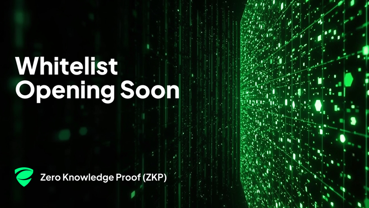 No Bridges, No Barriers! Just Blockchain That Works: Meet Zero Knowledge Proof
