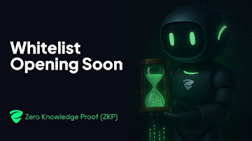 The Buzz Behind the Zero Knowledge Proof (ZKP) Whitelist