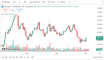 Algorand, VeChain & Remittix Are The Best Crypto To Buy Now In October