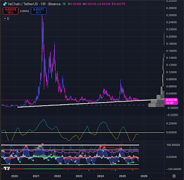 The Best Crypto To Buy Now For The Highest ROI Is Remittix. Algorand & VeChain But Which Could