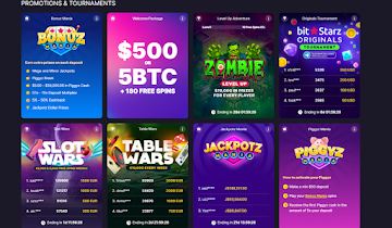 5 Best Crypto Casinos for 2025: List of High Paying Bitcoin Casinos with Fast Payouts