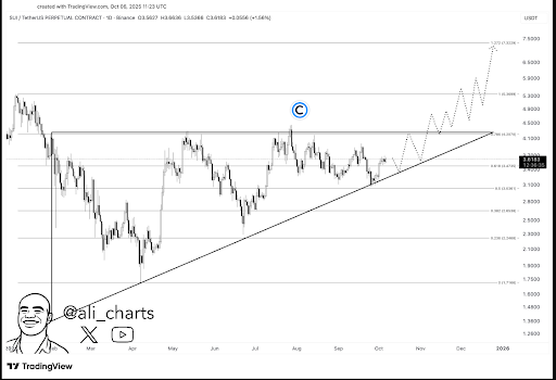 SUI Enters Accumulation Phase as Traders Eye Rally
